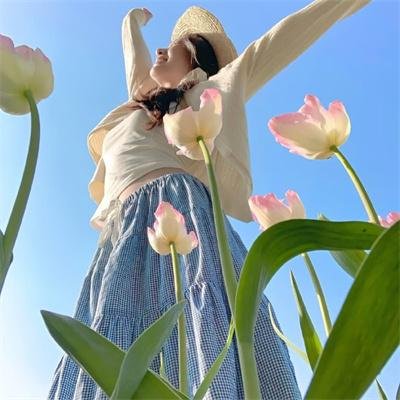 金鹰宝藏