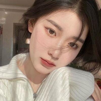 最后的维米尔